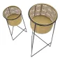 P/VASI COPPIA EXY 37x76 - 27x51 cm